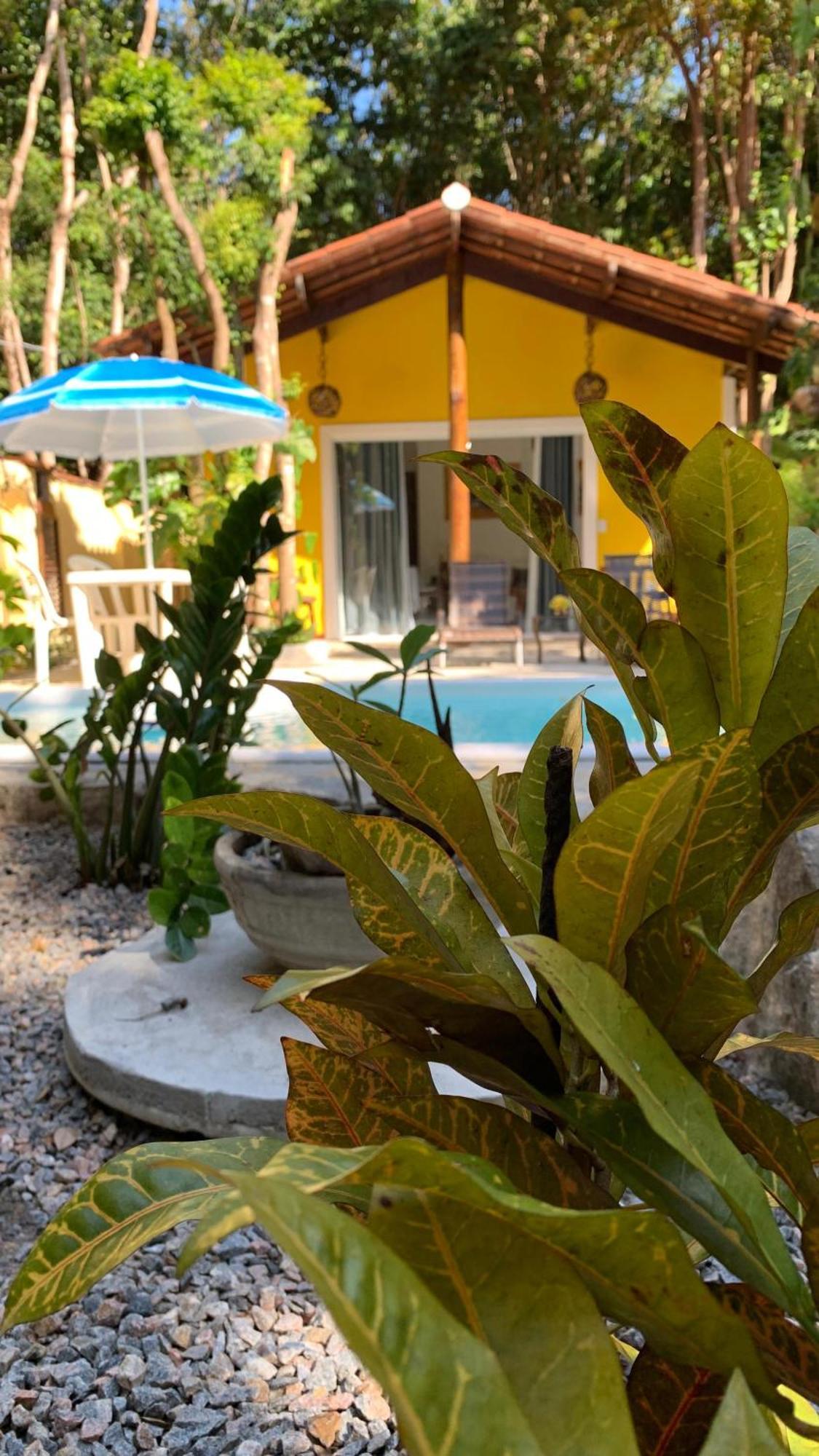 Chale Jacu Beach Pipa Praia de Pipa Habitación foto